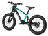 Neo Outlaw Max Pro 20" 750W Electric Balance Bike | 36km/h Kids Electric Dirt Bike