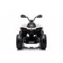 Cam-Am Maverick 24V Kids Electric Ride On Quad ATV Renegade