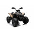 Cam-Am Maverick 24V Kids Electric Ride On Quad ATV Renegade