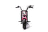 Neo Outlaw Electro Cruiser High Powered Kids Electric Motorbike 24v