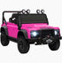 Kids Land Rover Defender 24V Ride-On with Remote