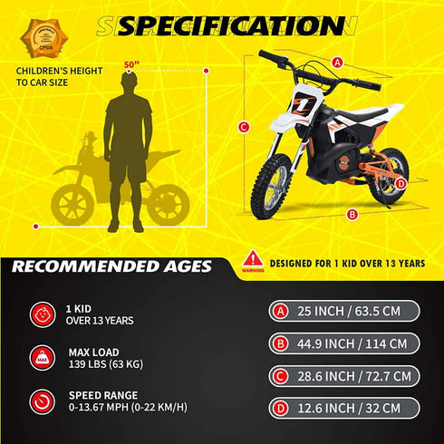 24v 250w BDM Kids electric dirt bike