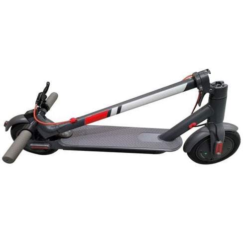 Adult M1 Electric Scooter 350w Motor Black with Digital Display with Coloured Decals on Pole