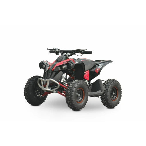 Renegade electric discount quad